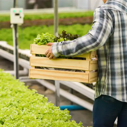 Agricultor transportando una caja de plantas